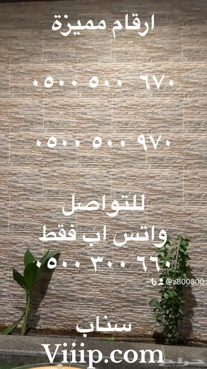 ارقام مميزة ست ستات و خمس خمسات واصفار 000.00 26