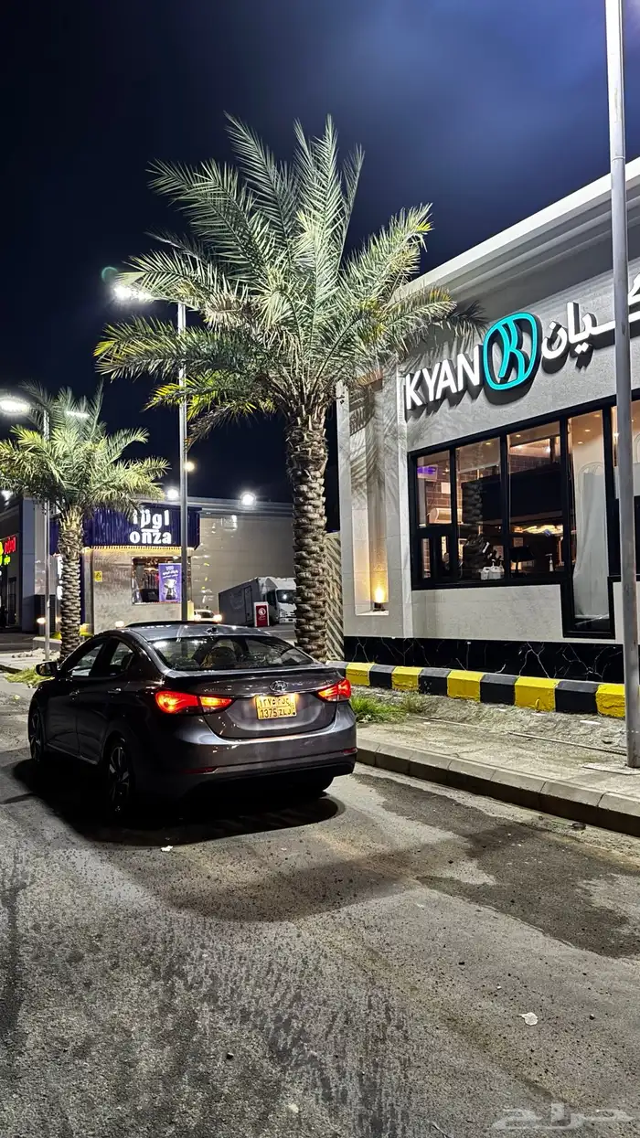 لوحة مميزة للبيع 2