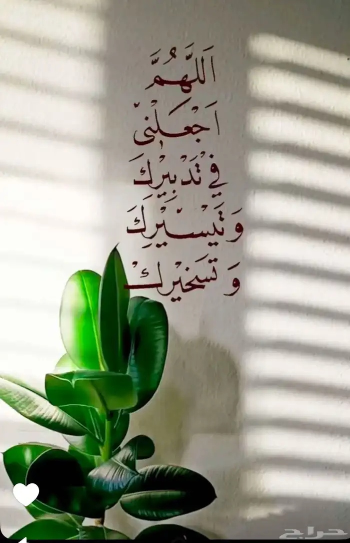 معلمة تربية خاصة متميزة 0