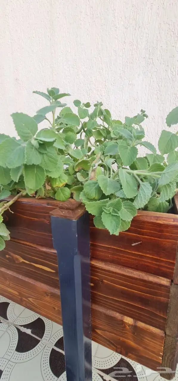 احواض زراعيه 2