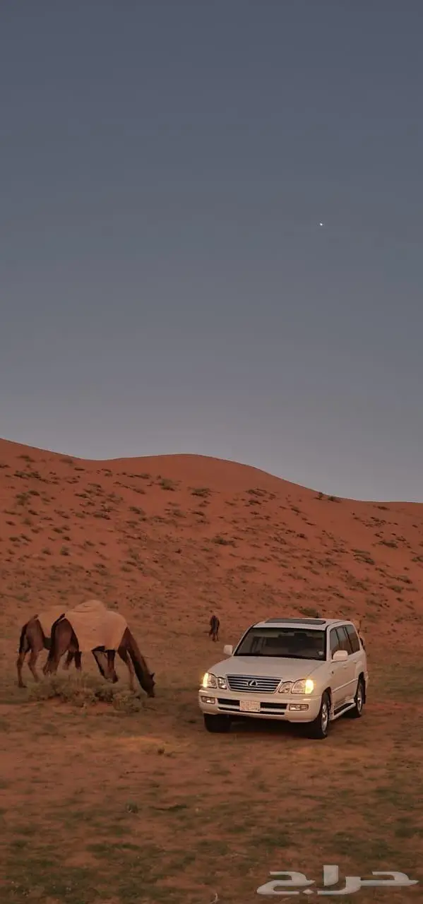 لكزز98 قير عادي 14