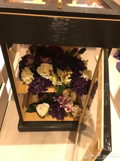 عربية شبكه ملكه 6