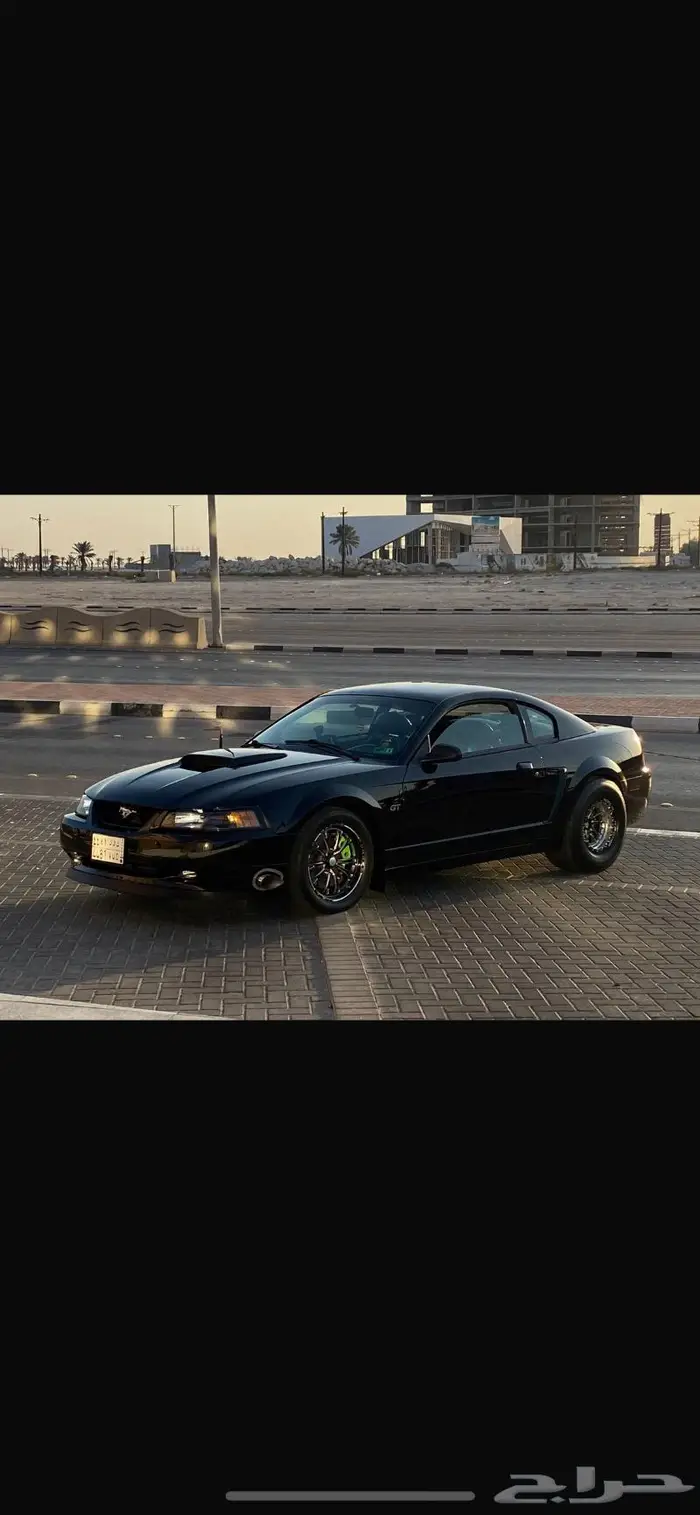موستنق بولت 2001 1