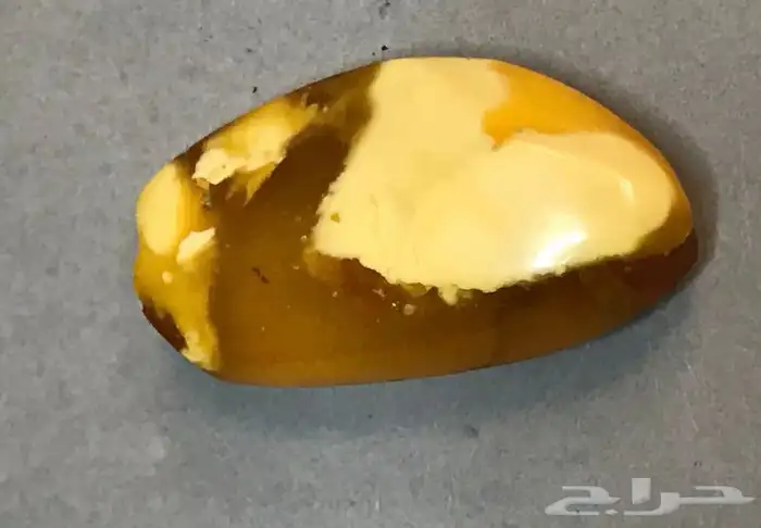 حجر كهرمان جبس بعسل بولندي قديم 1