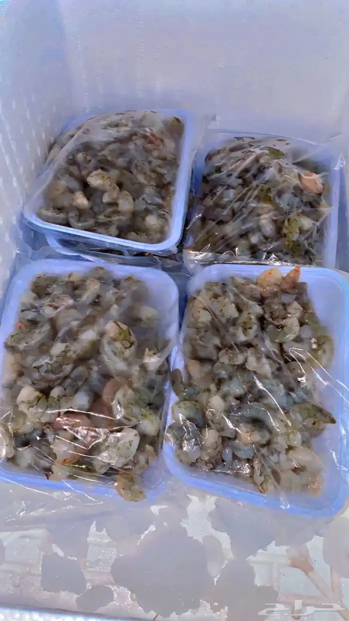 سمك طازج يومي 14