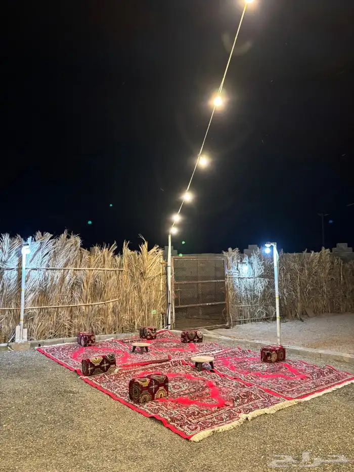 مخيم الصقر للايجار اليومي 3