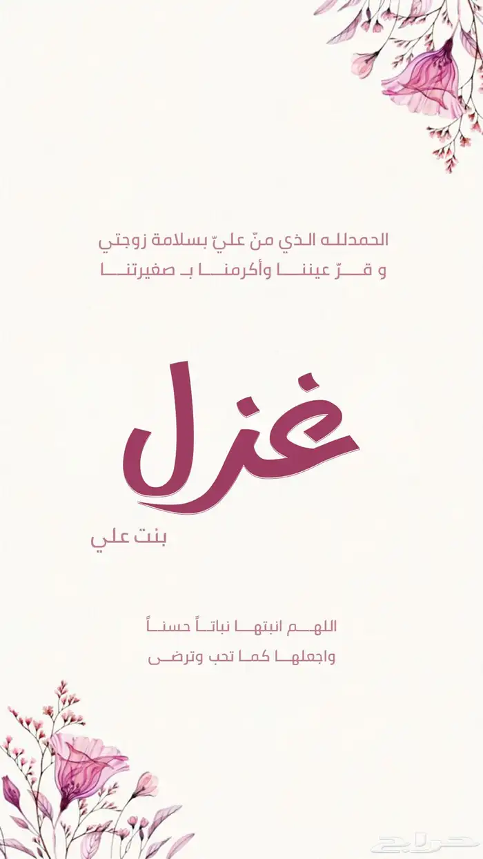 تصميم بشاره مولوده 0