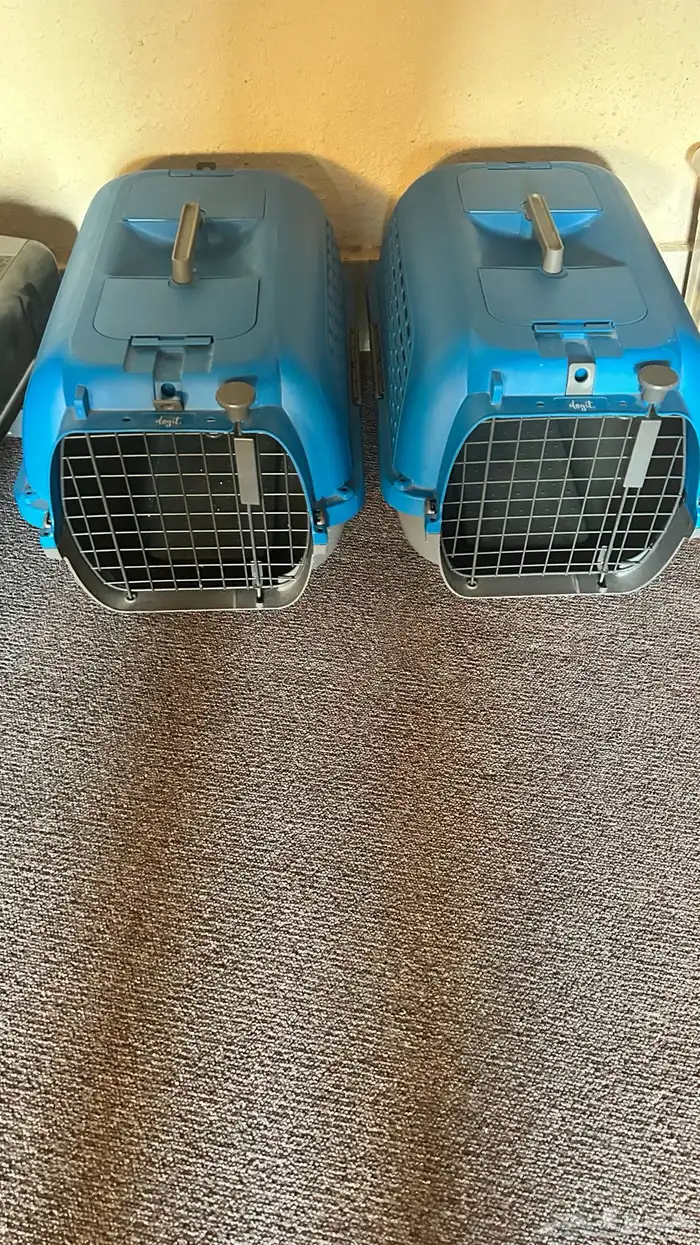 pet carrier set of 2 0