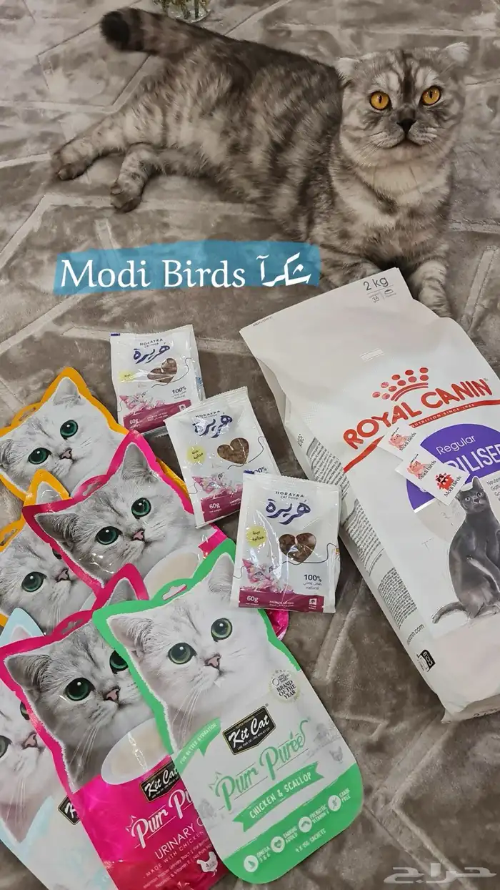 متجر Modi Birds 12