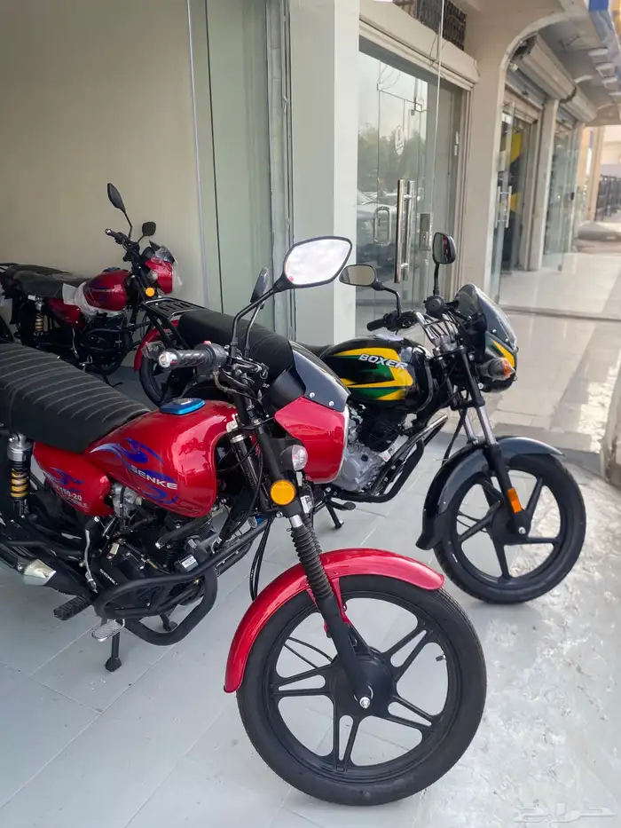 motorcycle show shop دراجات دباب دراجات نارية tamara tabby 3