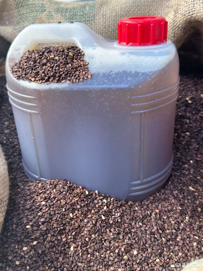 زيت سمسم جنوبي طازج 4