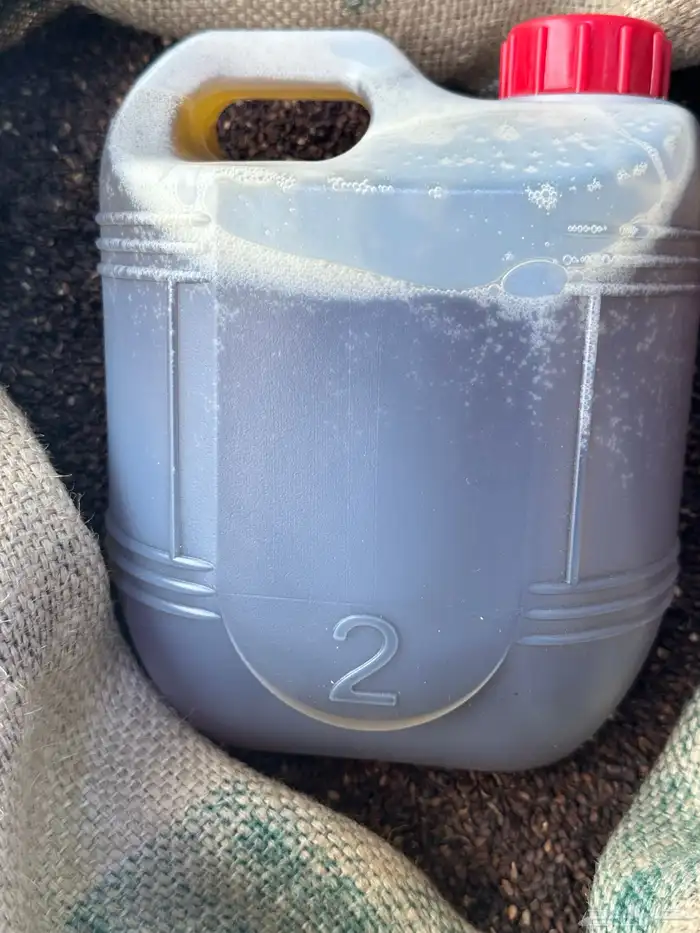 زيت سمسم جنوبي طازج 5