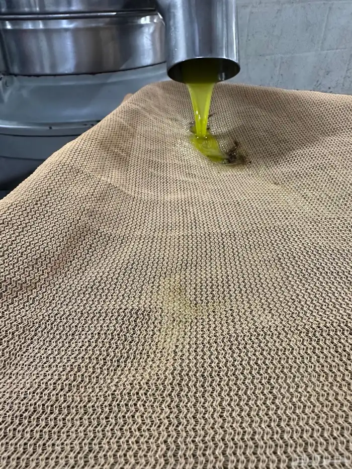 عصرة الاربعاء 1447-5-8 2