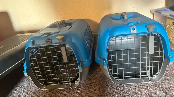 pet carrier set of 2 3