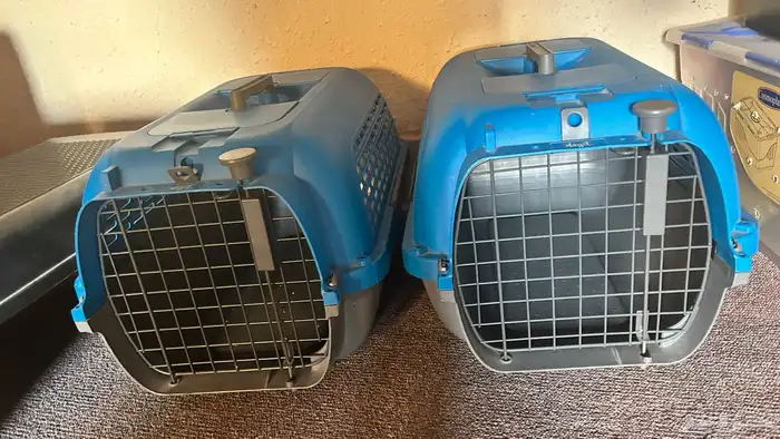 pet carrier set of 2 2