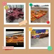 إيجارجلسات على البحر 12