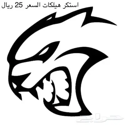 قطع تشالنجر 33