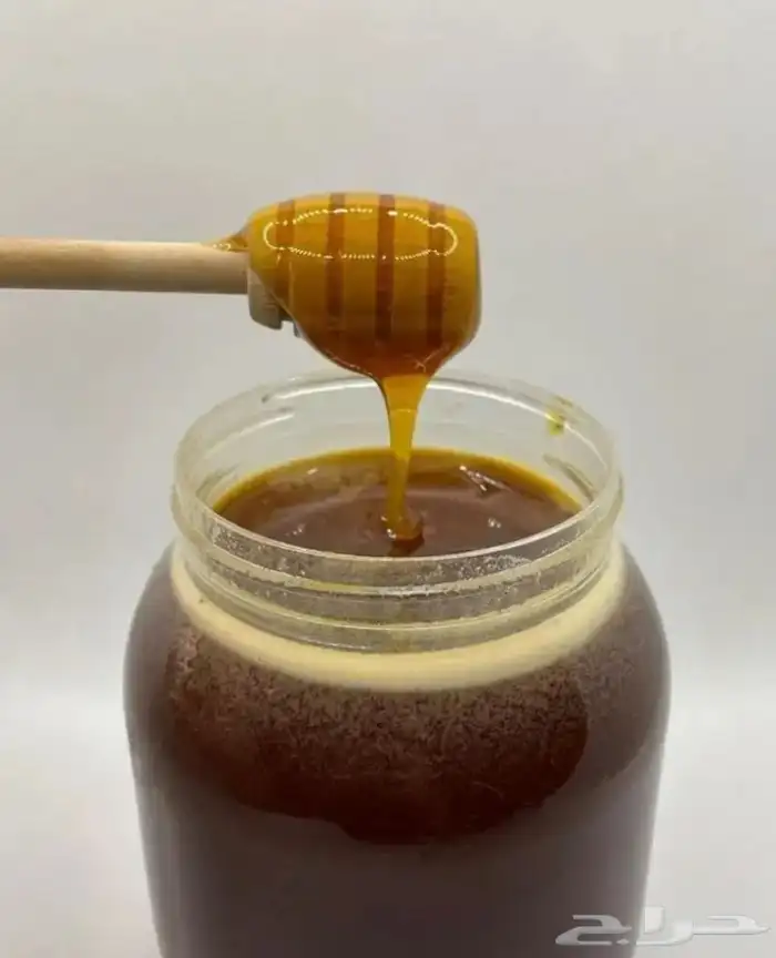 عسل سدر اصلي ومضمون بلدي من الجنوب 0