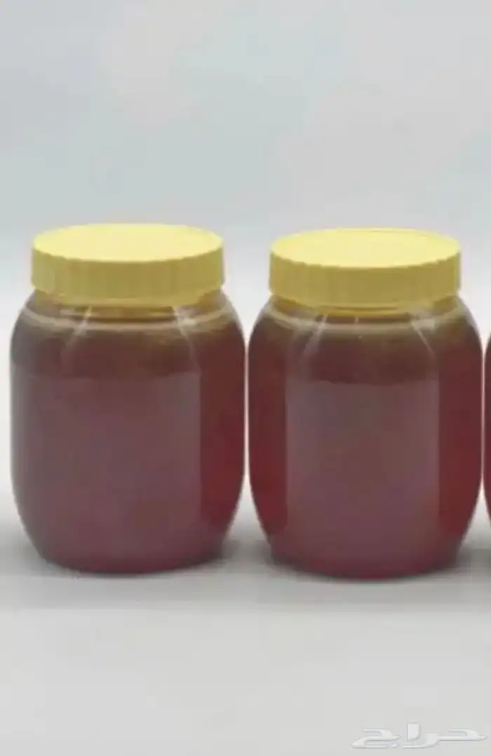 عسل سدر اصلي ومضمون بلدي من الجنوب 1