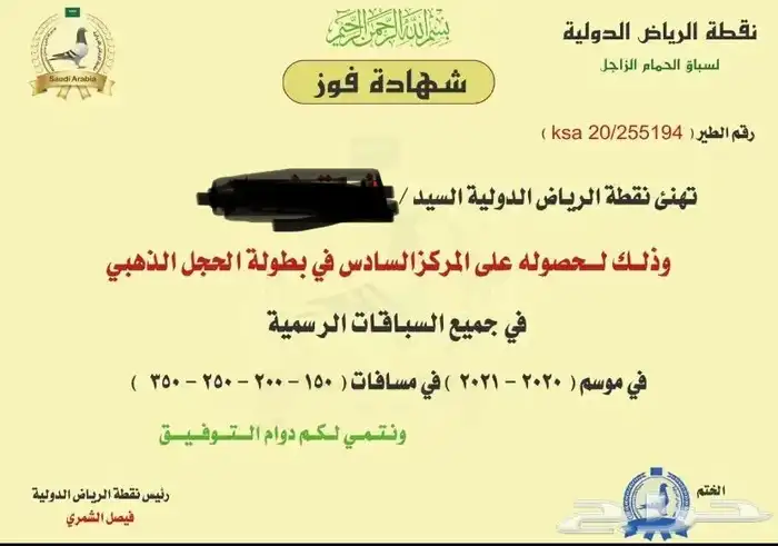 زاجل سباق احفاد الحجول الذهبية فرصة ( تم البيع ) 11