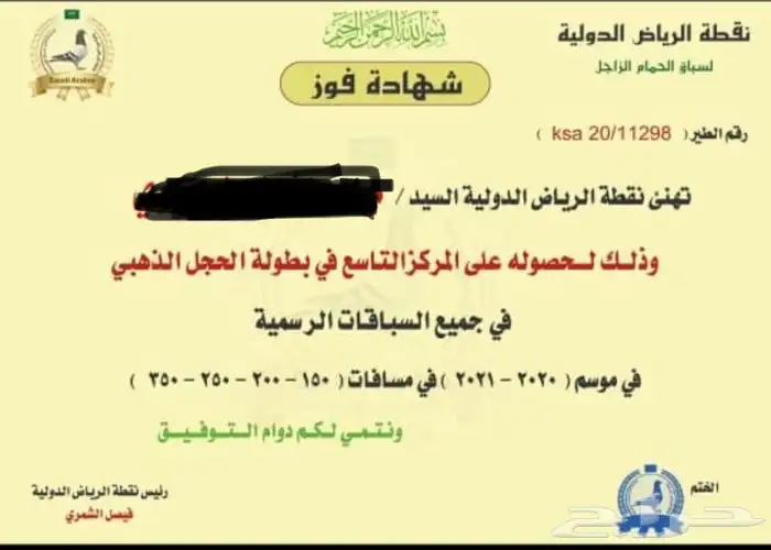 زاجل سباق احفاد الحجول الذهبية فرصة ( تم البيع ) 12