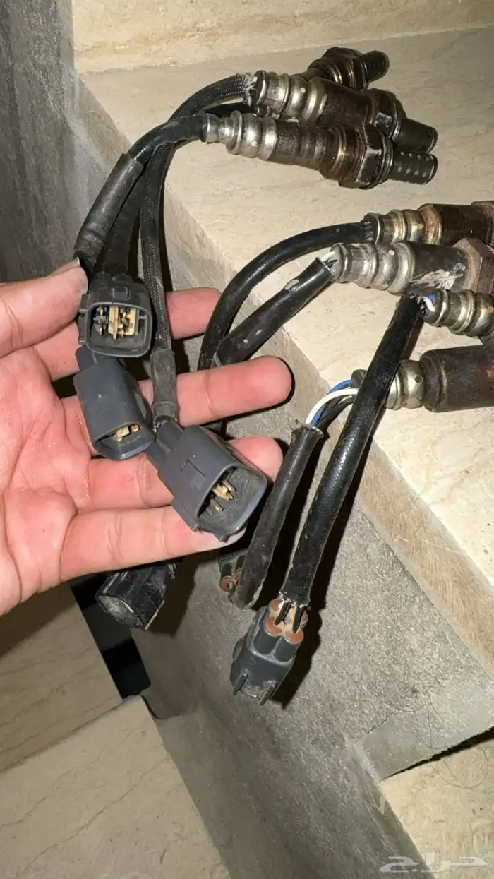 حساسات شكمان 1