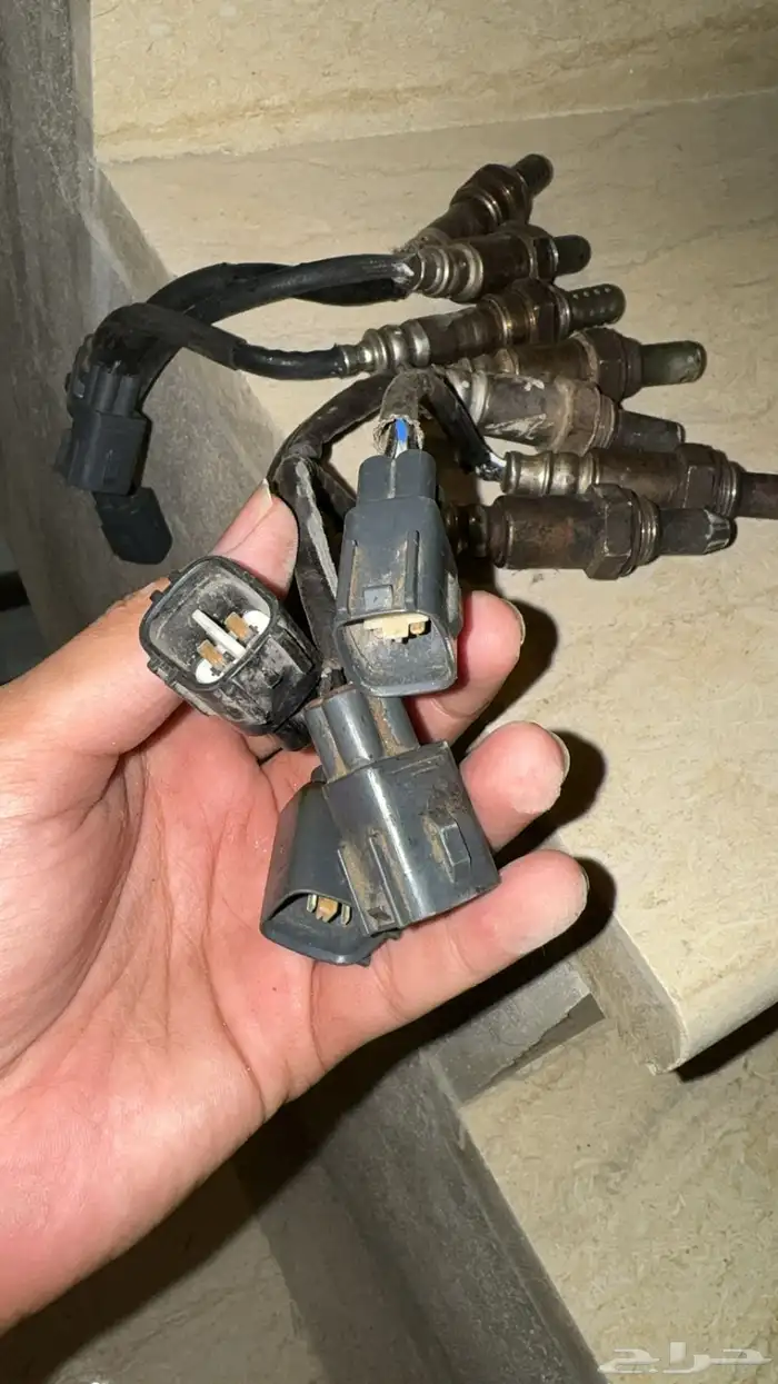 حساسات شكمان 2