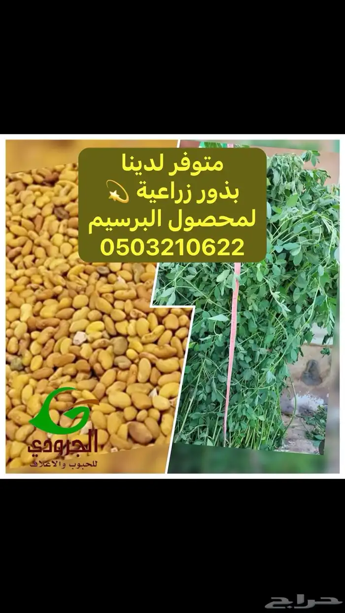 بيع اعلاف ماشية وطيور بااقل الاسعار مع التوصيل 10