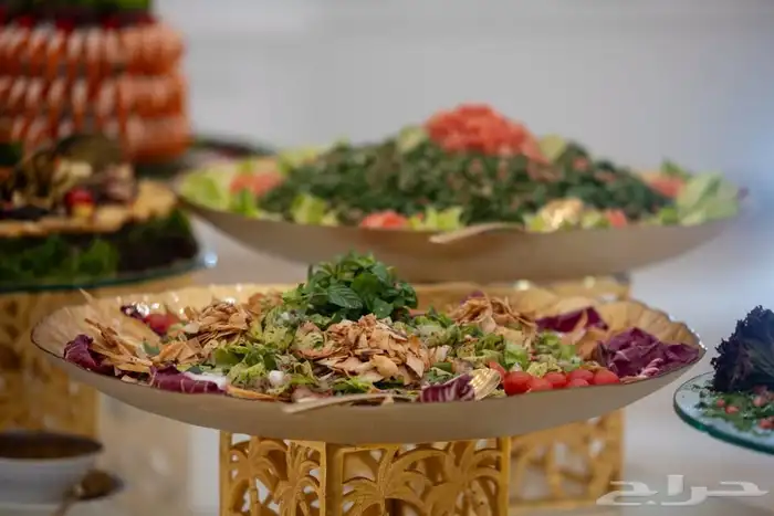 كوفي بريك بوفيهات غداء او عشاء 24