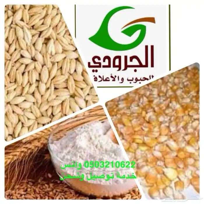 بيع اعلاف ماشية وطيور بااقل الاسعار مع التوصيل 50