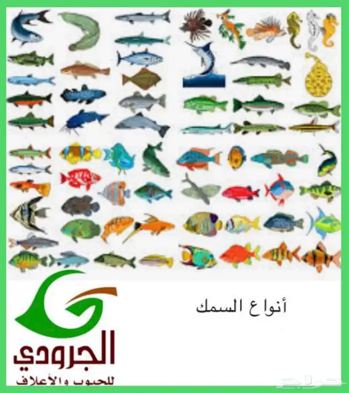 بيع اعلاف ماشية وطيور بااقل الاسعار مع التوصيل 71