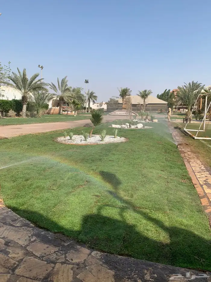 نجيله عشب طبيعي 10