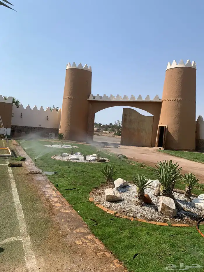 نجيله عشب طبيعي 9