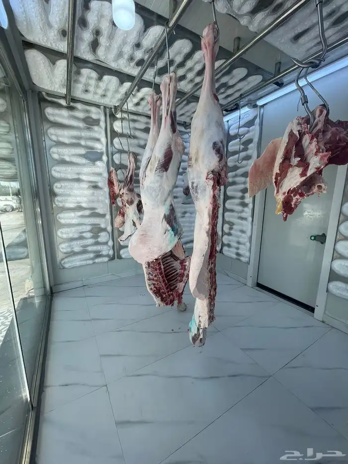 تفصيل استيل مطعم ملحمة بوفية كافي مركز تفصيل ثلاجات 24