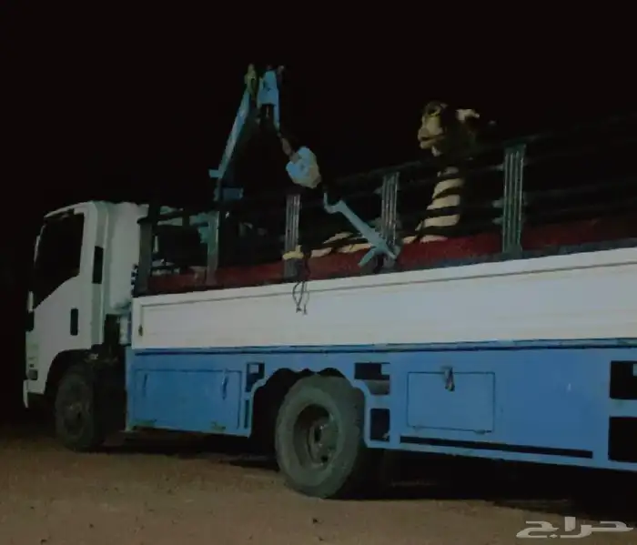 دنه ابل ونش هيدروليك كرين عفيف 0