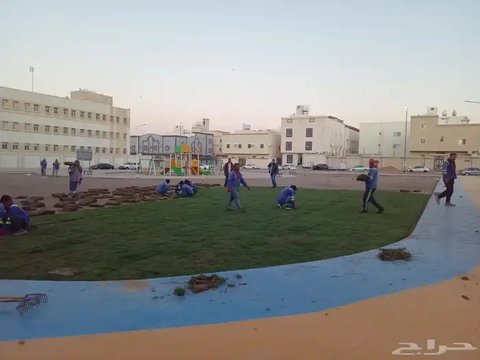نجيل طبيعي 4