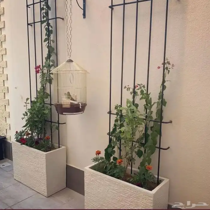 الجنوب 9