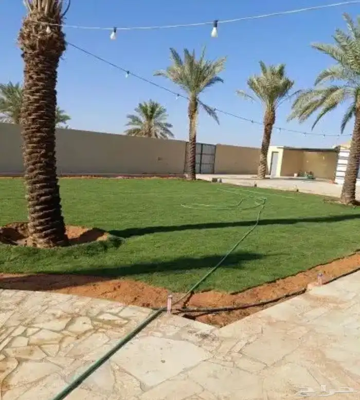 الجنوب 17
