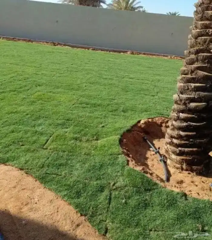 الجنوب 16