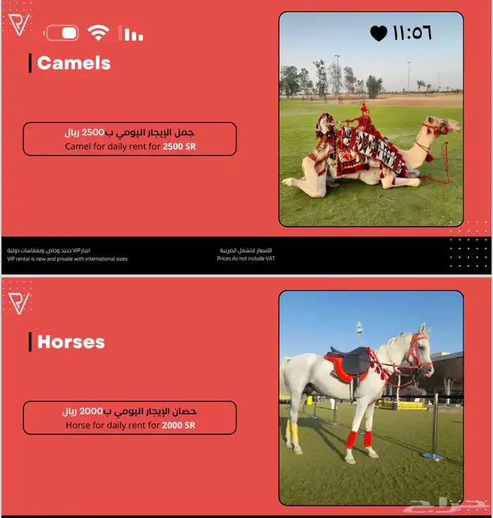 تاجير طاولات رياضيه العاب تحدي ضيافه vr بلايستشن 13