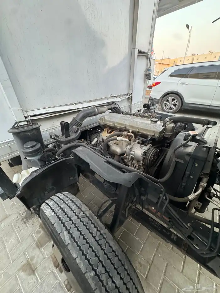 دينا اسوزو 19