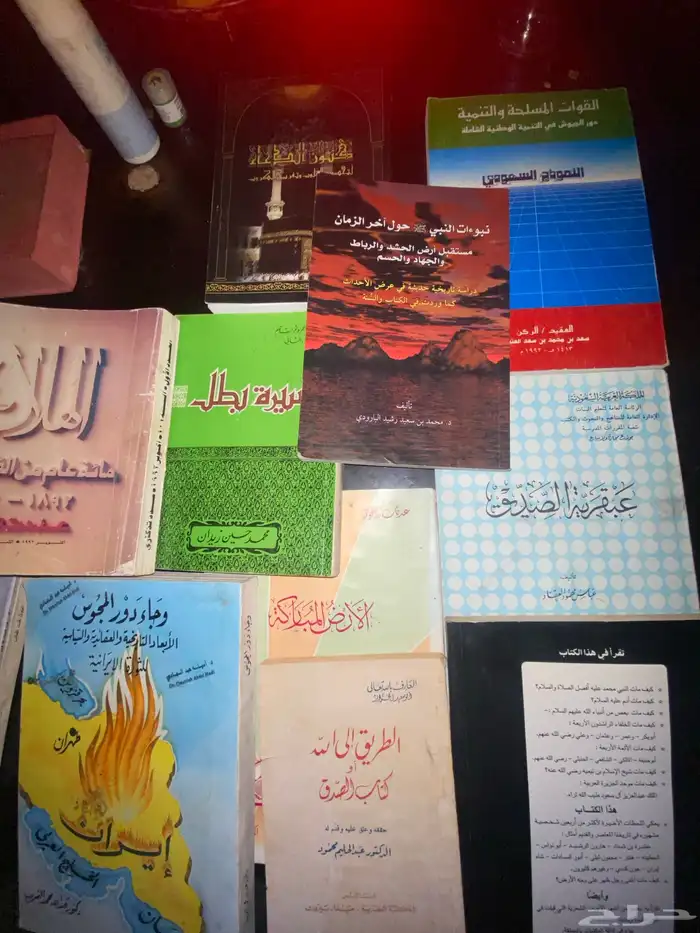 كتب منوعة و نادرة   صبار الوفيرا طبيعي 6