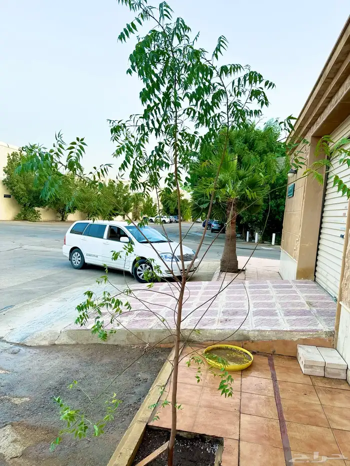 عجر ديكورات 3