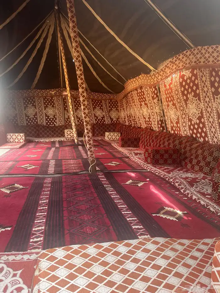 مخيم البكيرية للإيجار 1