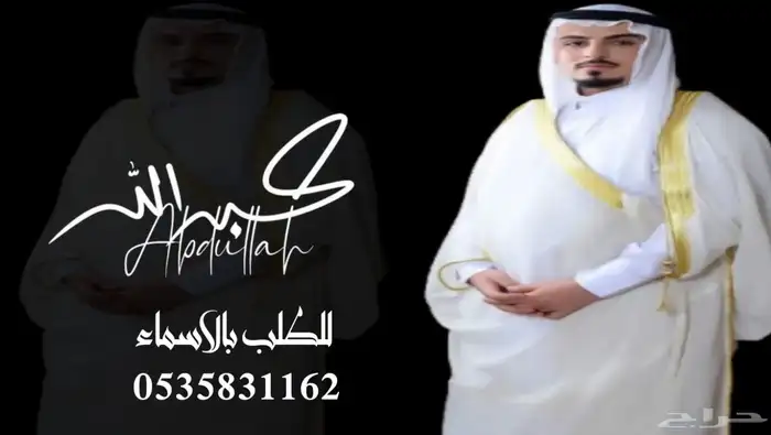 منشد شيلات شاعر جزل 0
