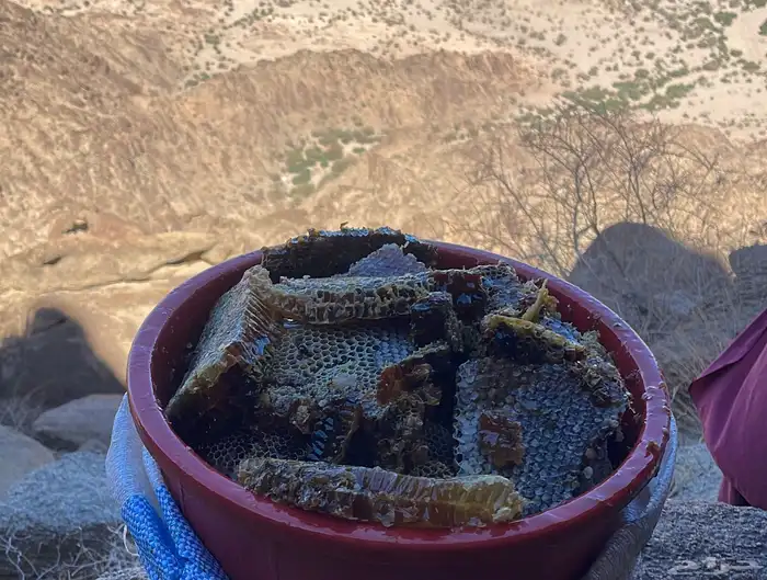 عسل من جبال وادي الفرع اصلي شرط 0