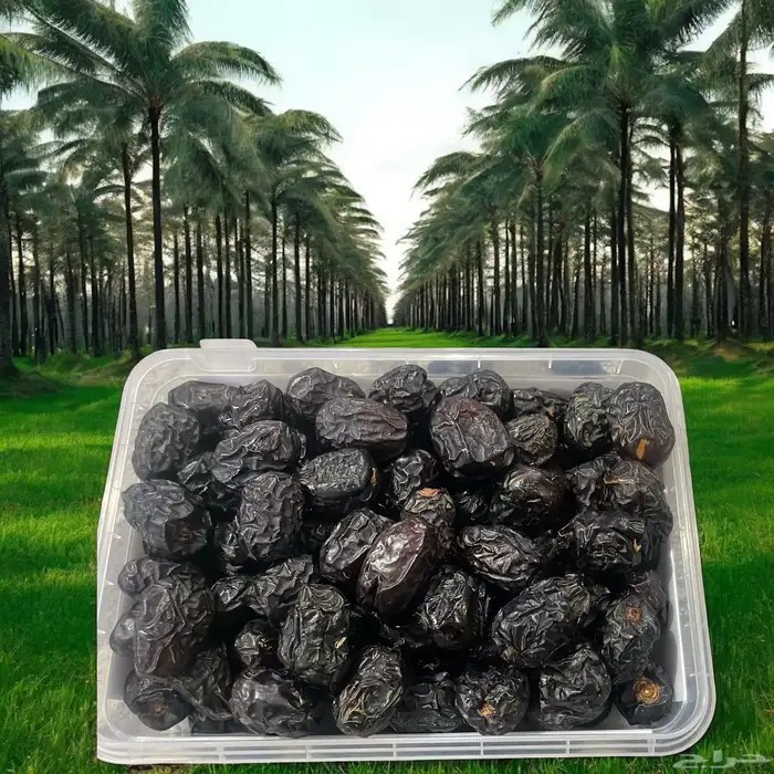 عروض عجوة المدينة المنورة 0