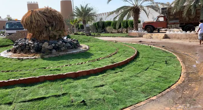 نجيله عشب طبيعي 7