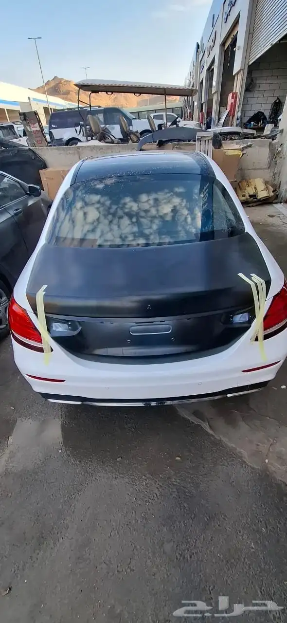 الترهيم عروضها يا تلحق يا ماتلحق 21