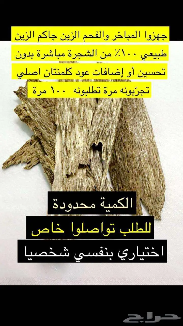 للبيع عود كلمتان طبيعي 100   غير محسن 0